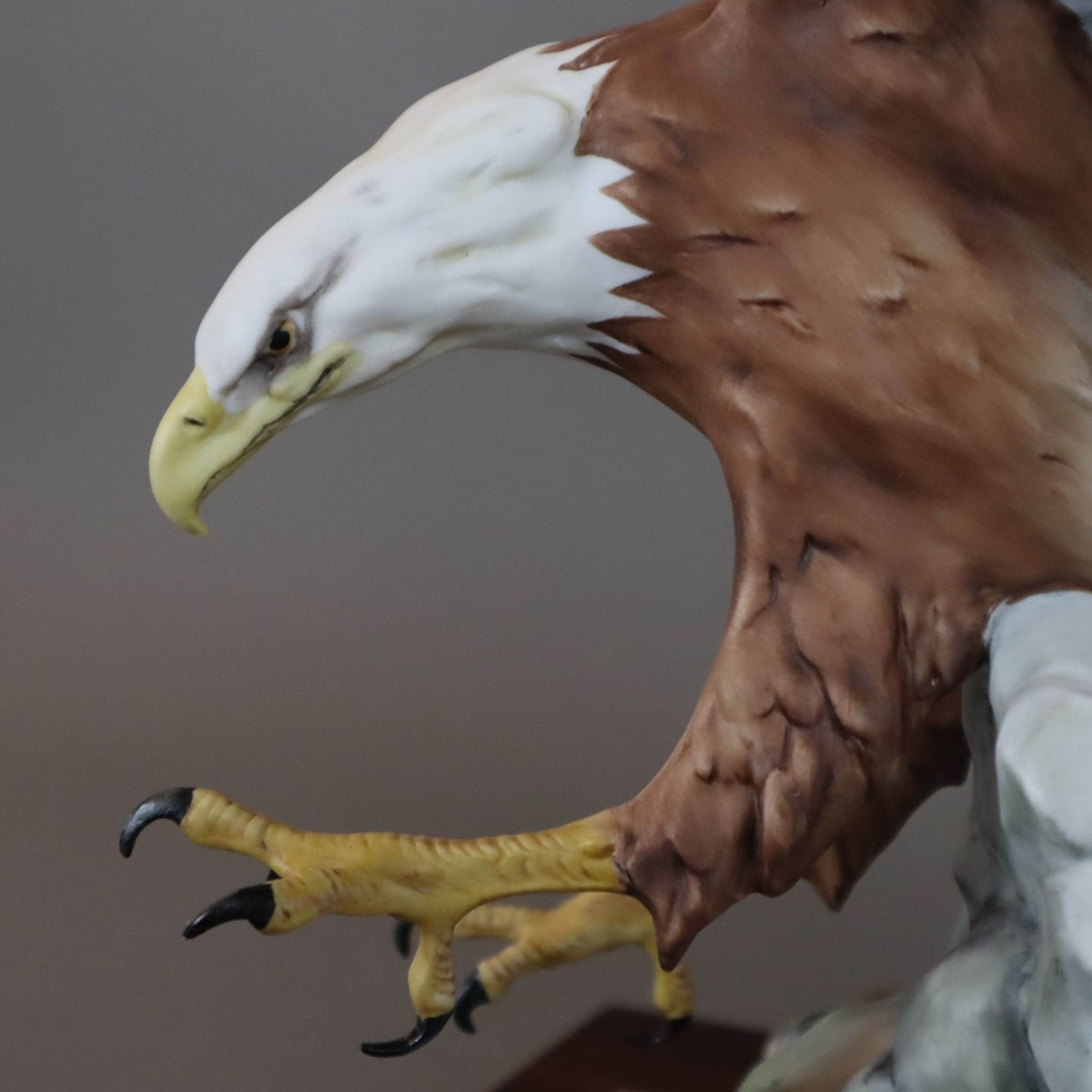 "Der Weisskopfadler/ American Bald Eagle/ Haliaeetus leucocephalus" - Giuseppe Tagliariol, Kaiser P - Image 4 of 10