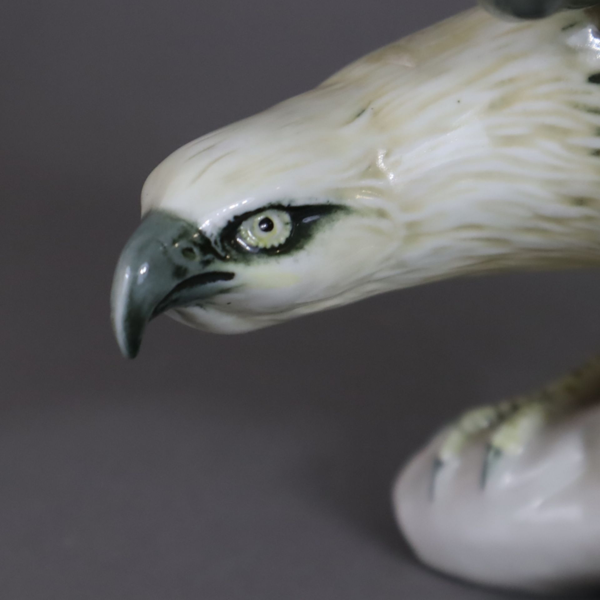 Weißkopfseeadler - Ens, 20.Jh., Porzellan, polychrom bemalt, naturalistische Darstellung auf Astsoc - Image 2 of 8