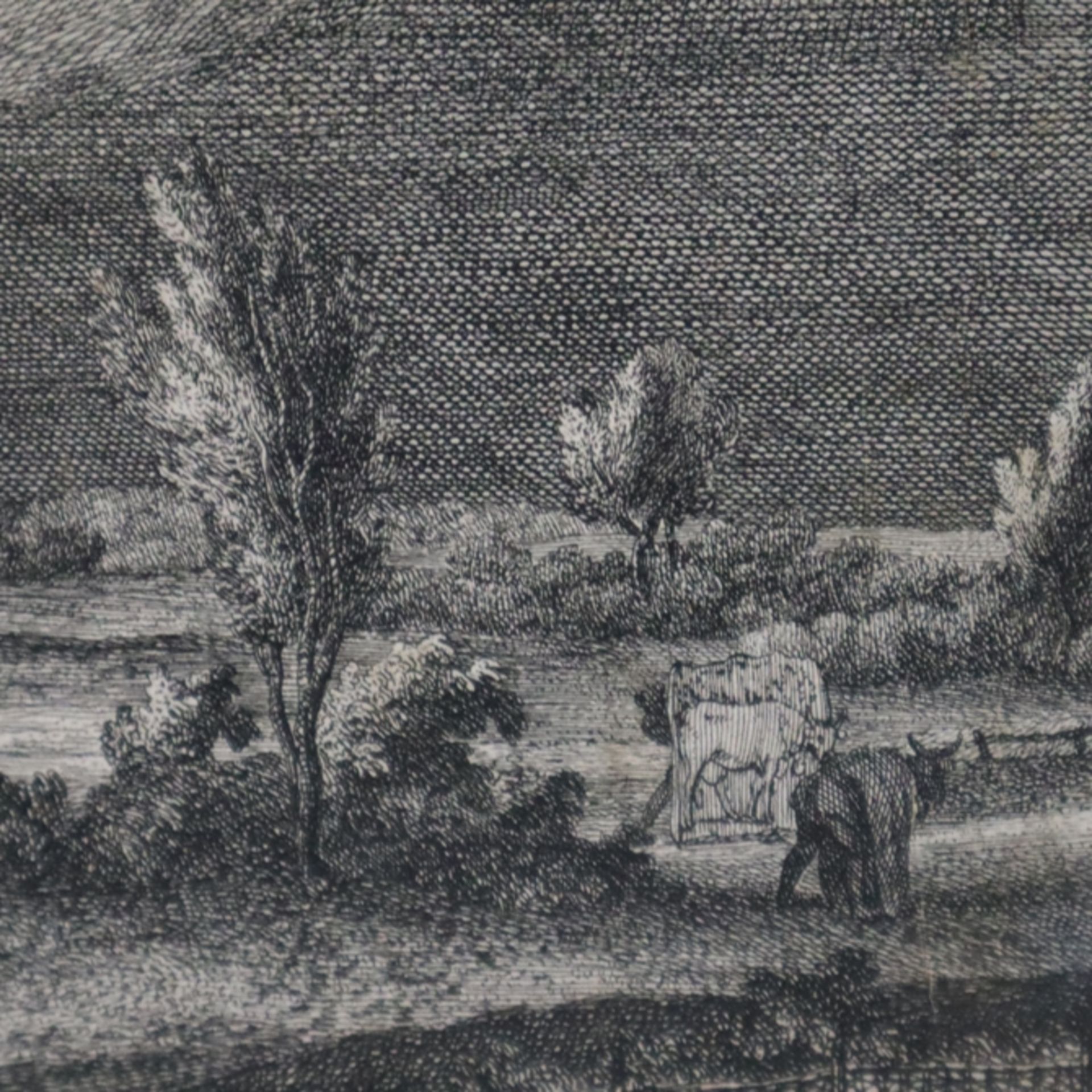 Ridinger, Joh. Elias (1698-1767 Augsburg) - "Wie die Rebhühner mit dem Hamen und Schies Pferd zu fa - Bild 5 aus 8