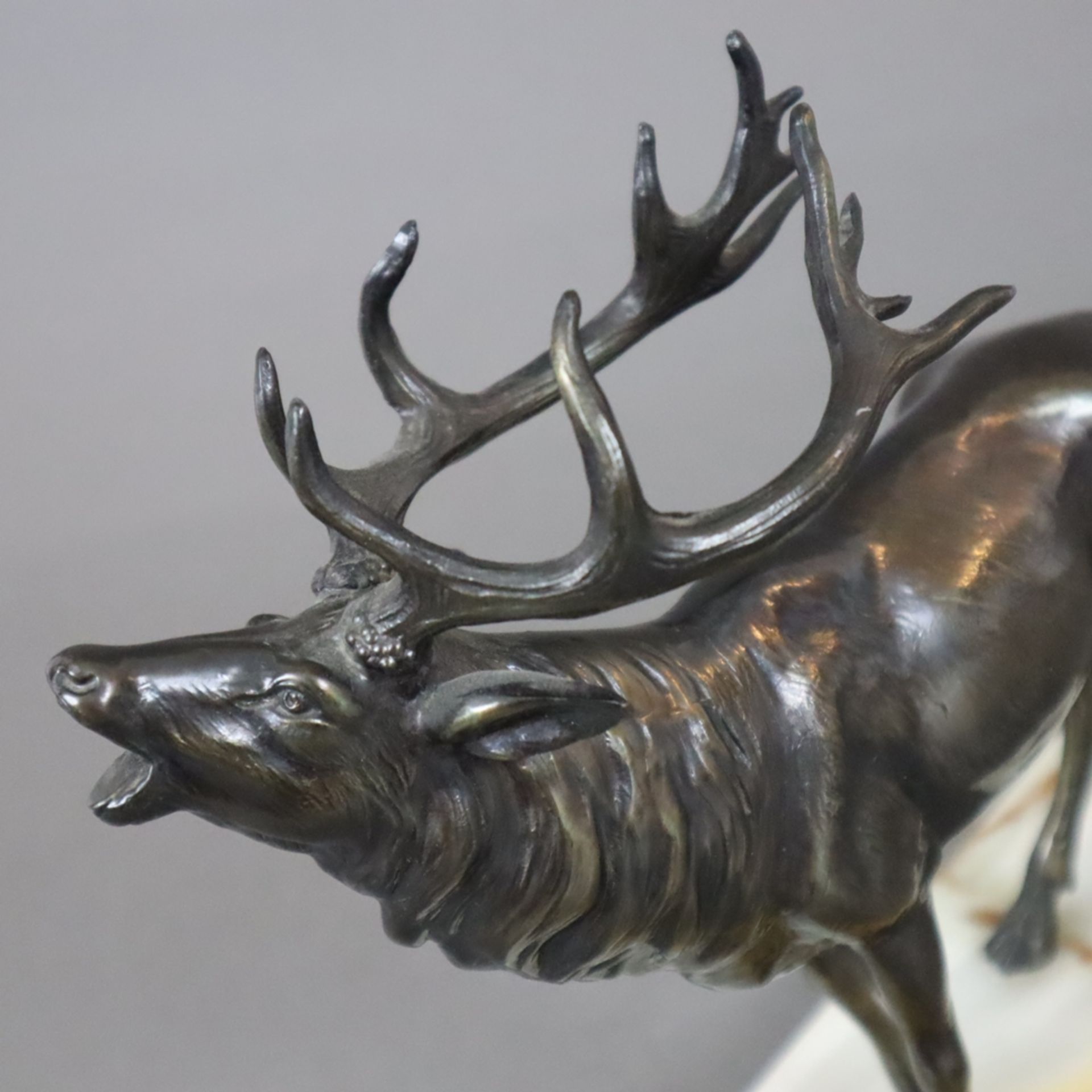 Tierfigur "Röhrender Hirsch" - Metallguss, bronziert, vollrunde Figur eines Hirschen auf rechteckig - Image 3 of 6
