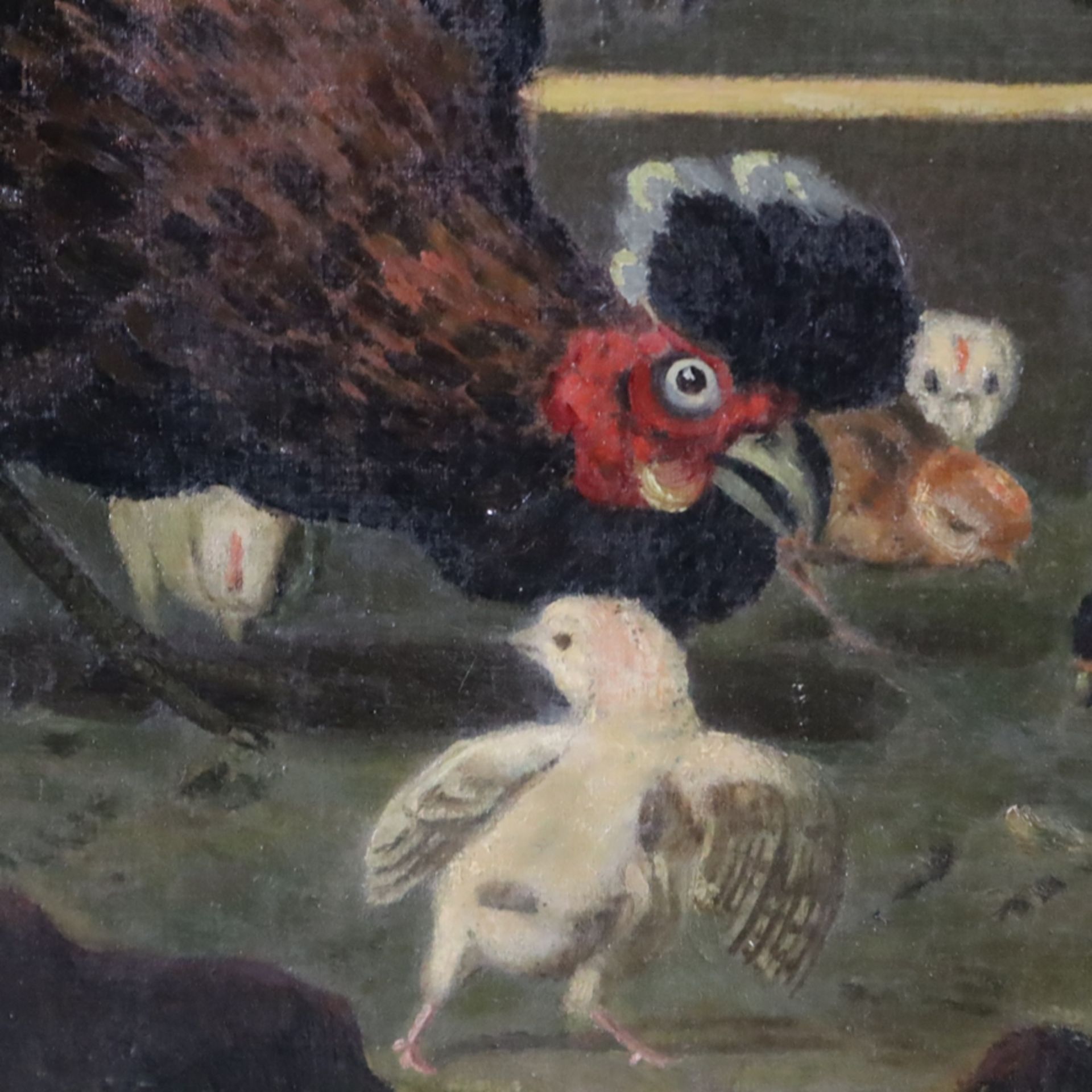 Unbekannte/r Künstler/in -um 1900- Kampf zwischen Hahn und Truthahn, nach dem gleichnamigen Gemälde - Image 7 of 13