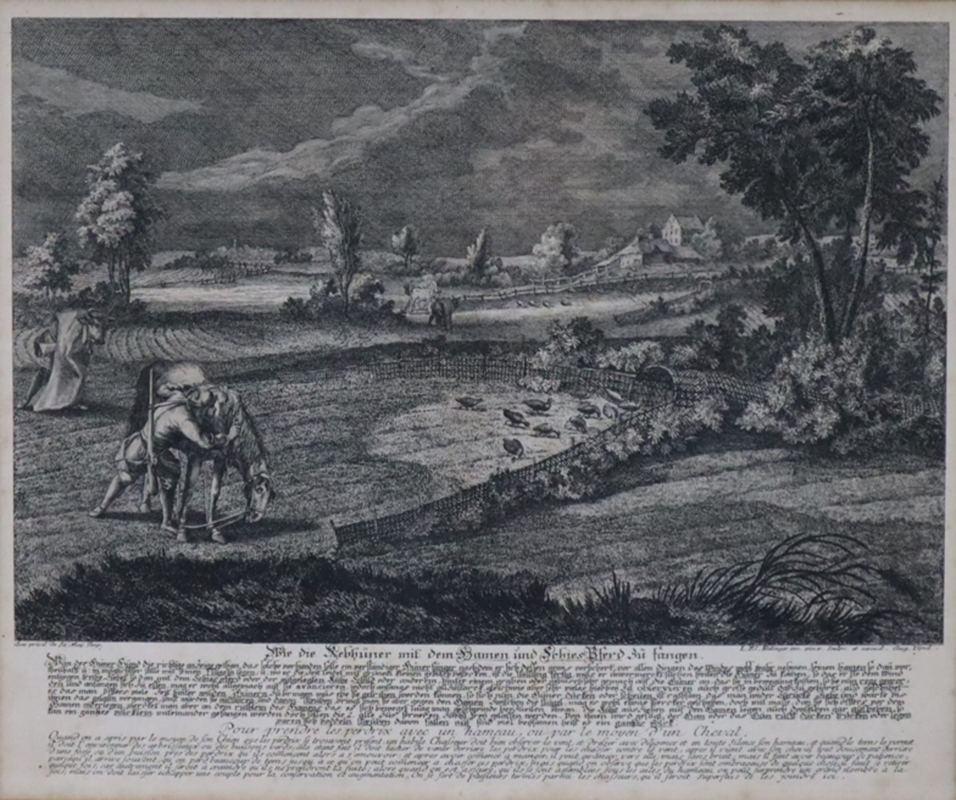 Ridinger, Joh. Elias (1698-1767 Augsburg) - "Wie die Rebhühner mit dem Hamen und Schies Pferd zu fa