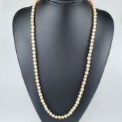 Perlenkette mit Goldschließe - champagnerfarbene Perlen in Einzelknotung, runde Schmuckschließe aus