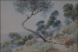 Pinotti, G. - „Italienische Landschaft“, Aquarell auf Papier, unten links signiert "G. Pinotti", PP