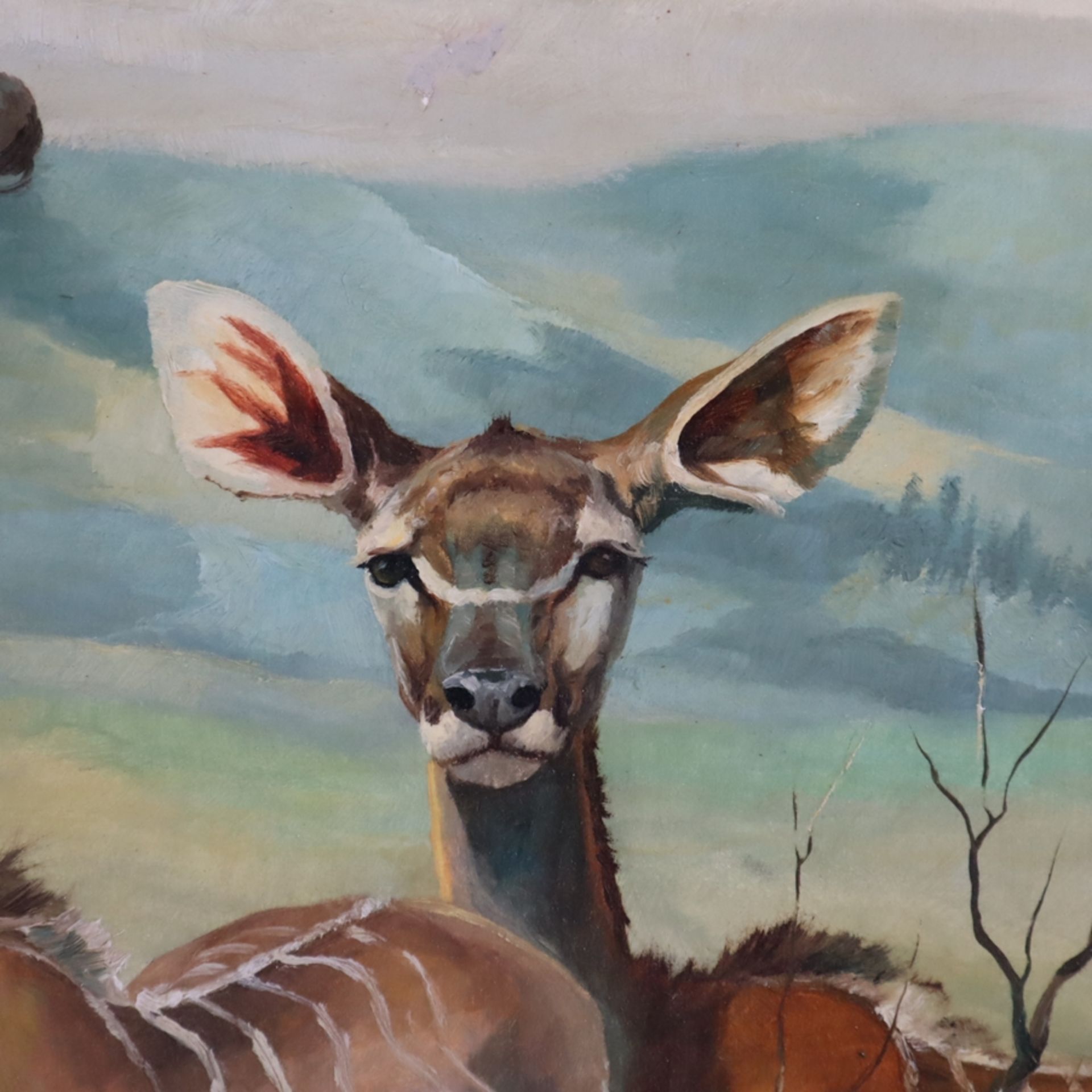 Hahn, Peter Siegfried (alias Pakara / gest.2003) - Darstellung zweier Kudu-Antilopen in der afrikan - Image 4 of 10