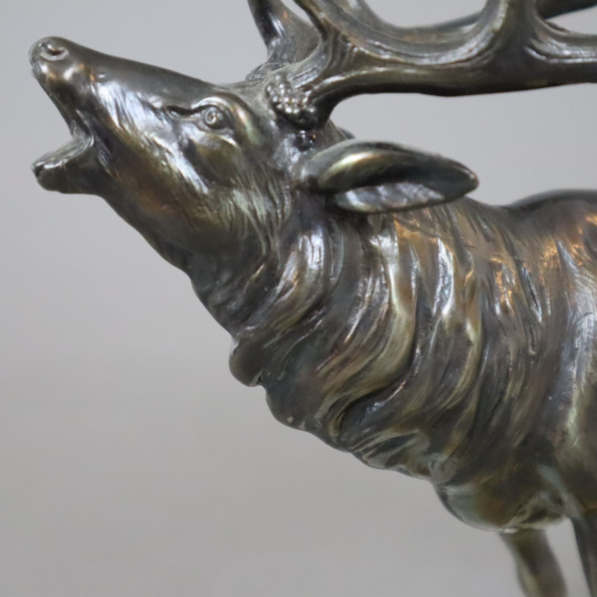 Tierfigur "Röhrender Hirsch" - Metallguss, bronziert, vollrunde Figur eines Hirschen auf rechteckig - Image 4 of 6