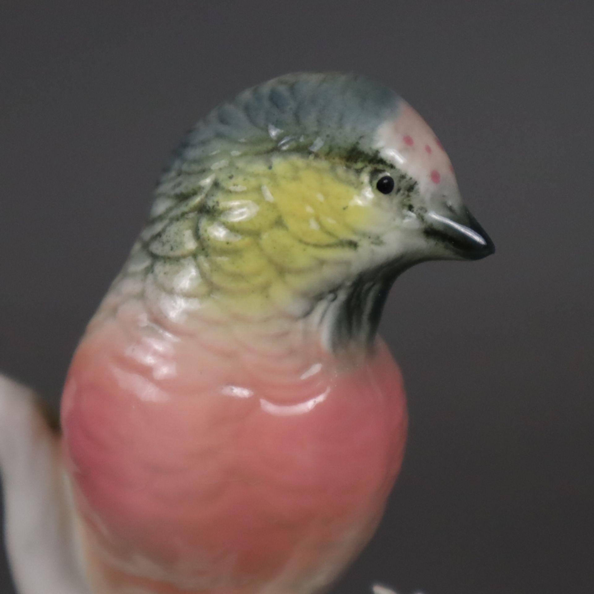 Vogelfigur "Bluthänfling"- Ens, 20.Jh., Porzellan, polychrom bemalt, naturalistische Darstellung au - Bild 3 aus 7