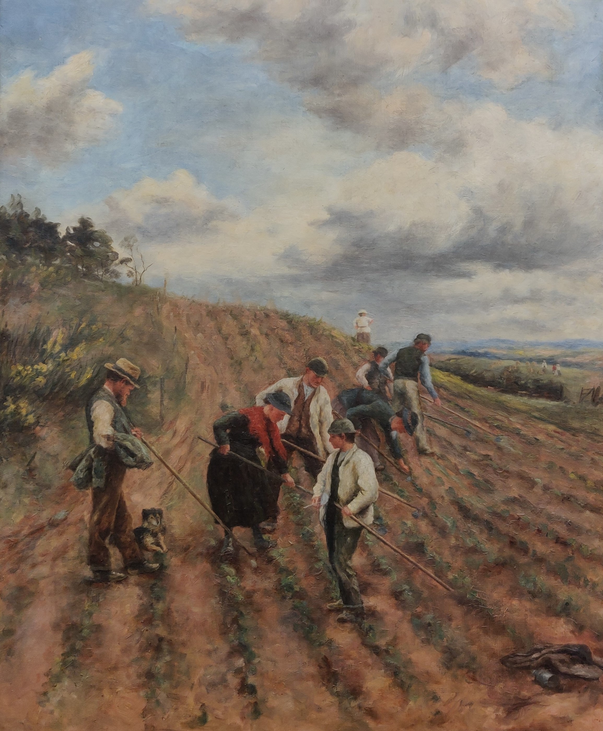 LARGE UNSIGNED OIL ON CANVAS - HARVESTING - 33.5 X 28.5