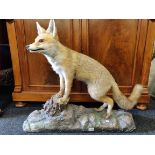 ANTIQUE STUFFED FOX