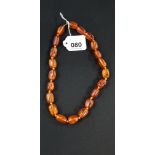 SET OF AMBER BEADS 18' (43 GRAMS)