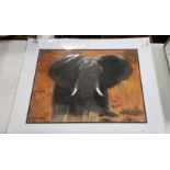 PRINT - ELEPHANT - J HUTTON