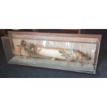 LARGE CASED MOUNTED FISH