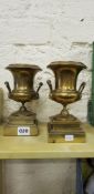 BRASS URNS