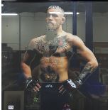 FRAMED CONOR MCGREGOR PICTURE