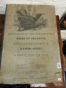 LARGE VICTORIAN FOLIO 'BIRDS OF PARADISE' PRINTS