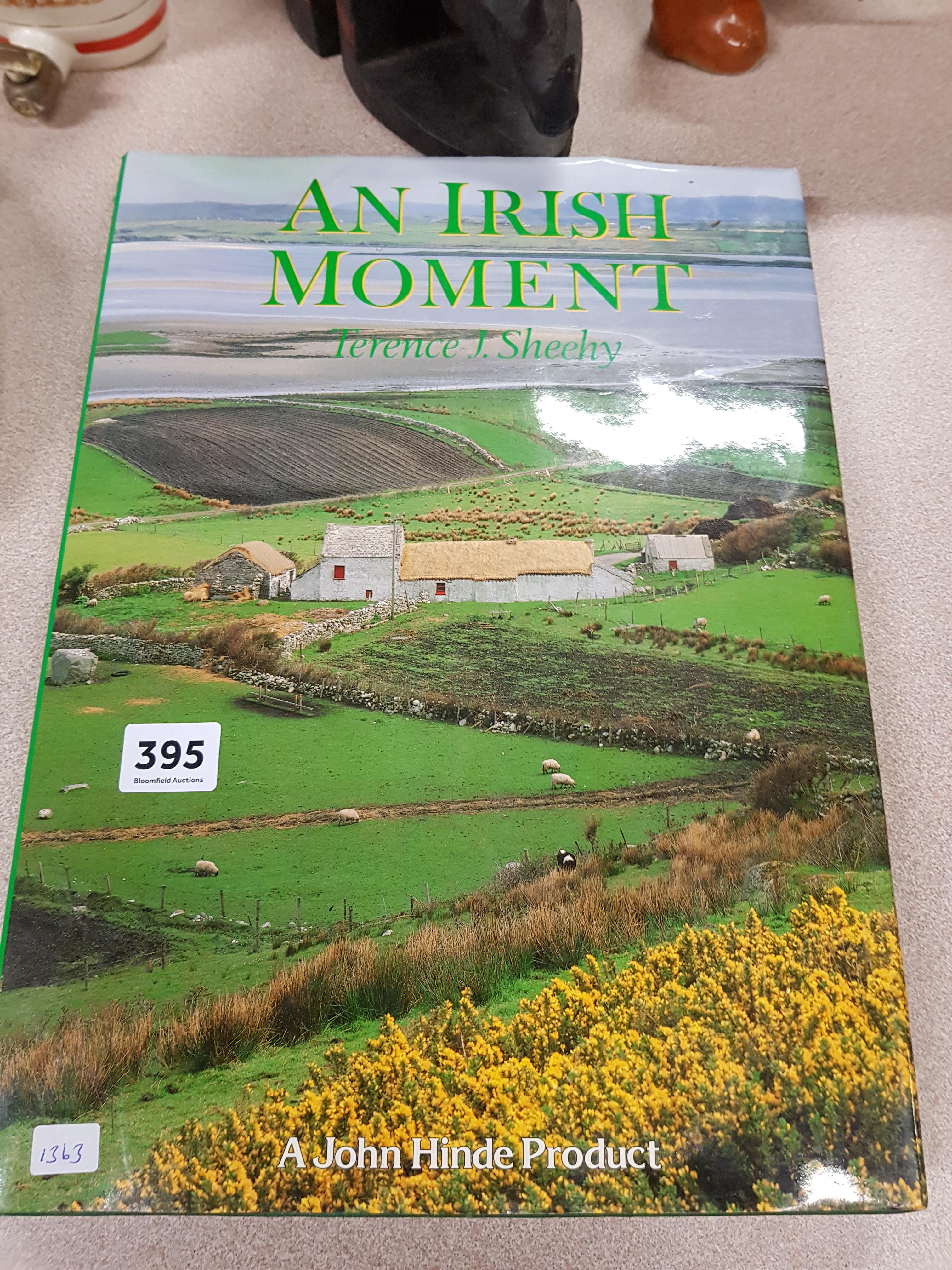 BOOK-AN IRISH MOMENT