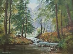 OIL ON CANVAS RIVER IN FOREST