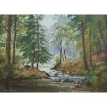 OIL ON CANVAS RIVER IN FOREST