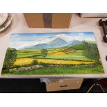 DAVID WILSON - OIL ON CANVAS - MOURNES