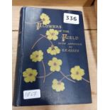 OLD BOOK:FLOWERS OF THE FIELD