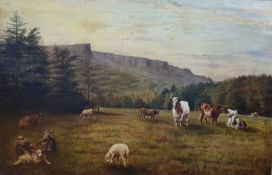 ATTRIBUTED TO ALFRED GREY - OIL ON CANVAS - GRAZING - 30'' X 19''