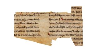 Ɵ Small cuttings from a Homiliary, with parts of Ambrose of Milan, Expositio Evangelii Secundum Luca