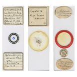 CHALLENGER EXPEDITION, 1875, AND OTHERS Group of 3 microscope specimen slides, c.1875-1920 (3)