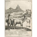 FREZIER (AM&#201;D&#201;E FRAN&#199;OIS) A Voyage to the South-Sea, and Along the Coasts of Chili...