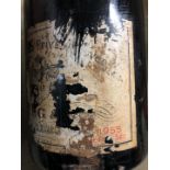 Krug 1955 (3)