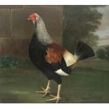 Follower of John Nost Sartorius (British, 1759-1828) A cockerel with trimmed feathers