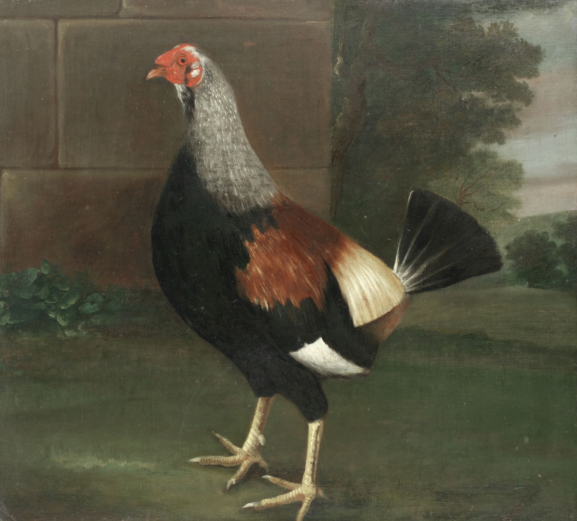 Follower of John Nost Sartorius (British, 1759-1828) A cockerel with trimmed feathers