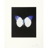 Damien Hirst (British, born 1965) One plate, from 'Butterfly Etchings', 2009 Etching and aquatint...