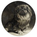 Herbert Thomas Dicksee, R.E. (British, 1862-1942) A pekingese tondo 35cm (13 3/4 in) diameter (Pu...