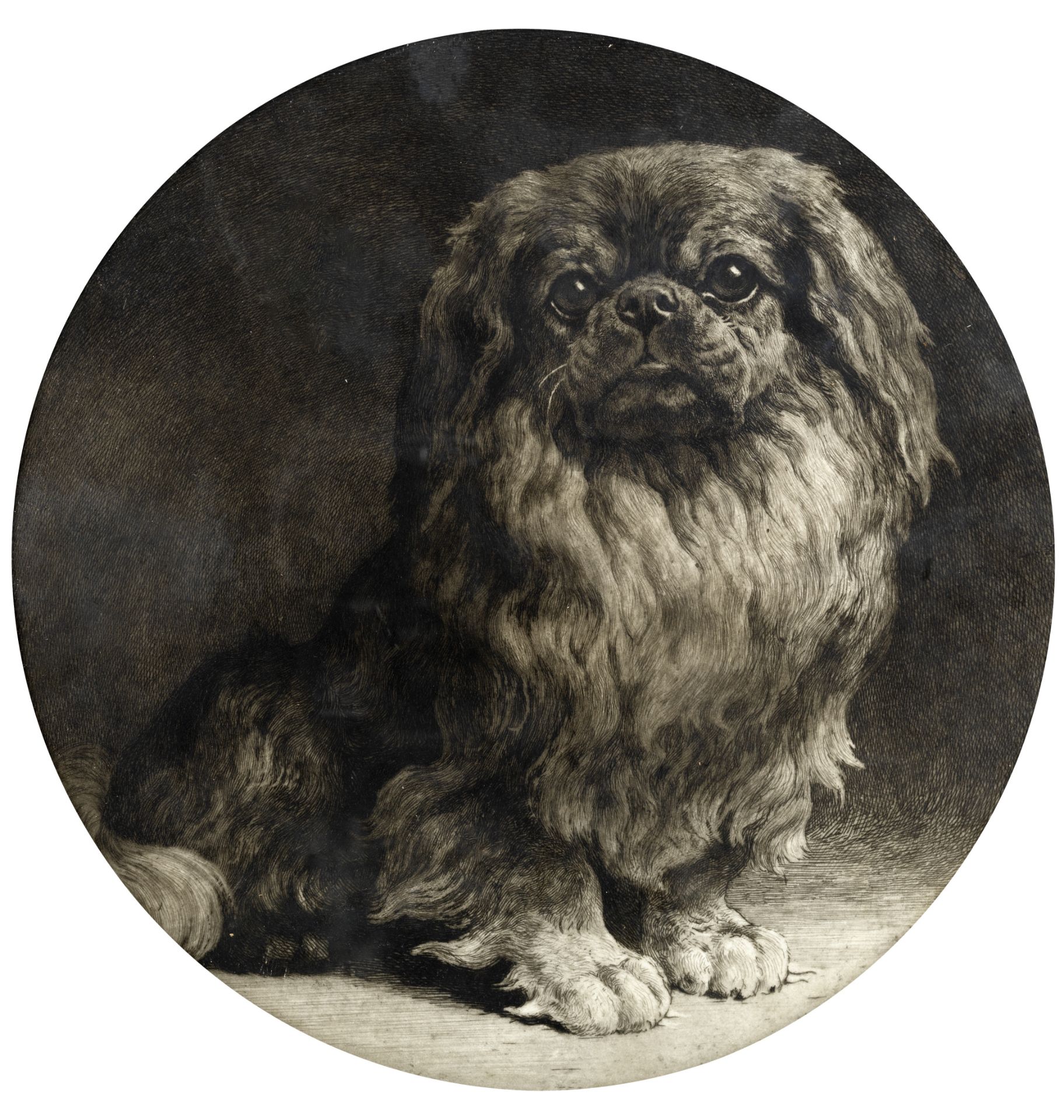 Herbert Thomas Dicksee, R.E. (British, 1862-1942) A pekingese tondo 35cm (13 3/4 in) diameter (Pu...