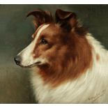 Walter Herbert Wheeler (British, 1878-1960) Portrait of a collie