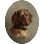 M. Genge (British, Early 20th century) Portrait of a dachshund painted oval 42.6 x 36.8cm (16 3/4...