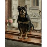 Alexander Pock (Austrian, 1871-1950) Rottweiler on a windowsill