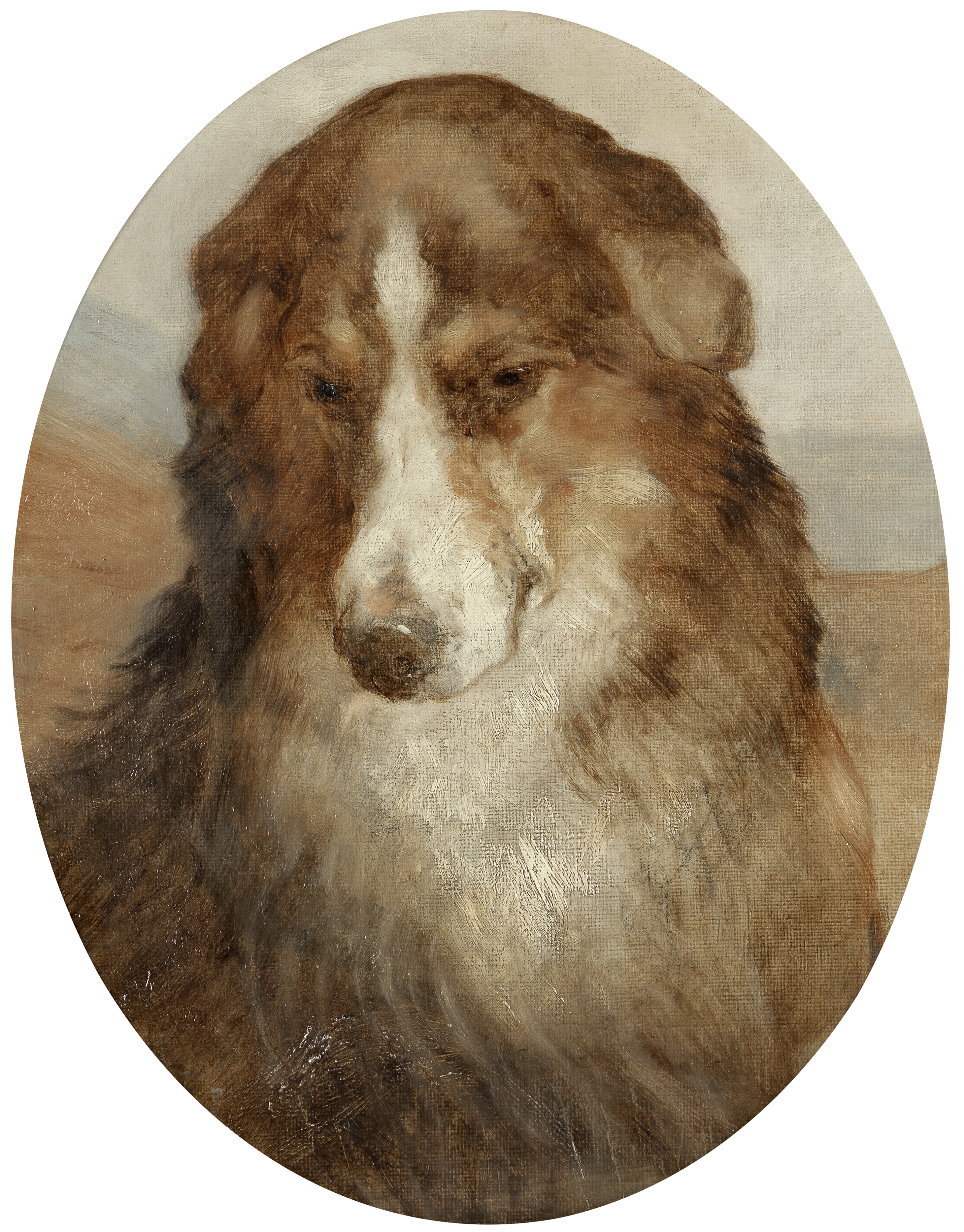 Attributed to Edwin Douglas (British, 1848-1914) Study of a collie