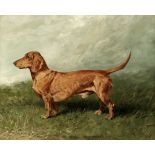John Emms (British, 1843-1912) Portrait of a dachshund