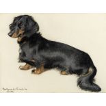 English school, 20th century Portrait of a dachshund