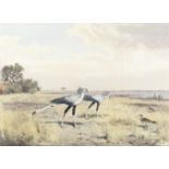 John Cyril Harrison (British, 1898-1985) Secretary birds approaching the watering hole (Togethe...