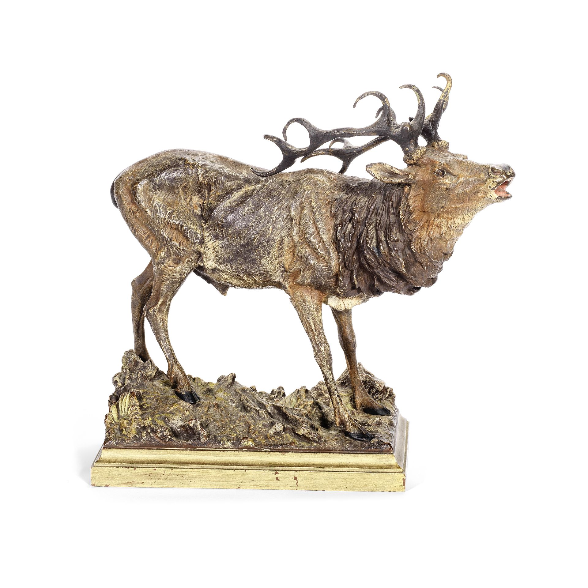 Franz Bergman (Austrian, 1861-1936): A cold painted bronze model of a stag on integral base