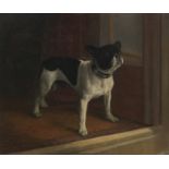 W. Cheesman (British, early 20th Century) A French bulldog, Millicent (The Duchess of Sutherland'...