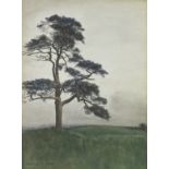 Frederick T. Penson (British, early 20th Century) Scots pine