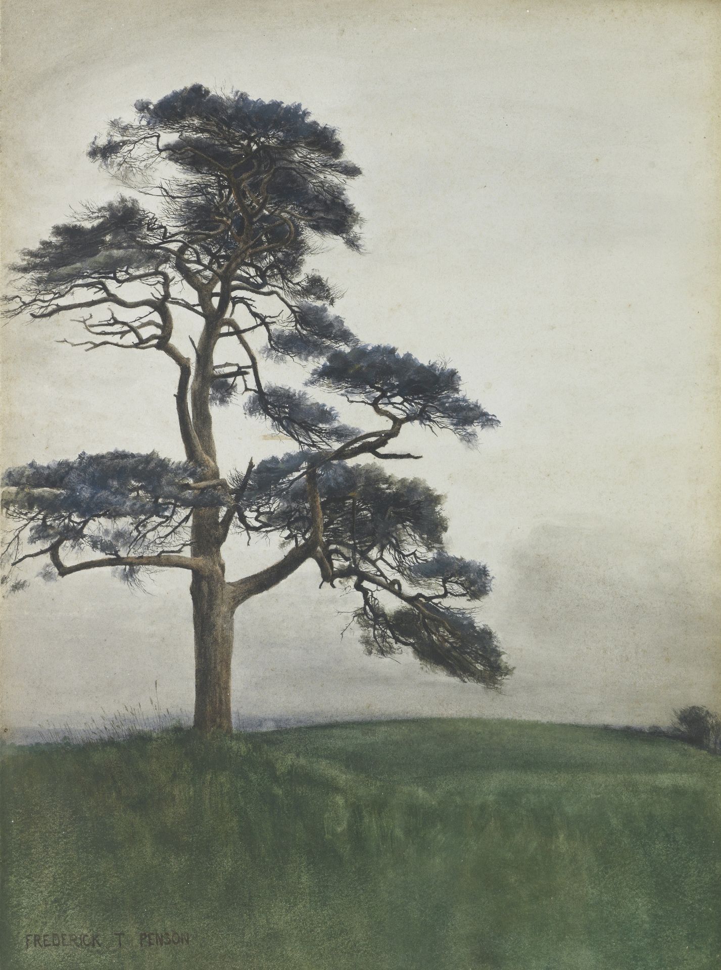 Frederick T. Penson (British, early 20th Century) Scots pine