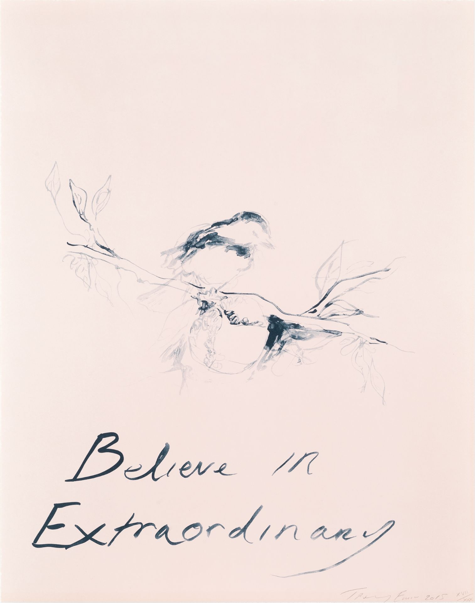 Tracey Emin (British, born 1963) Believe in Extraordinary Lithograph printed in colours, 2015, on...