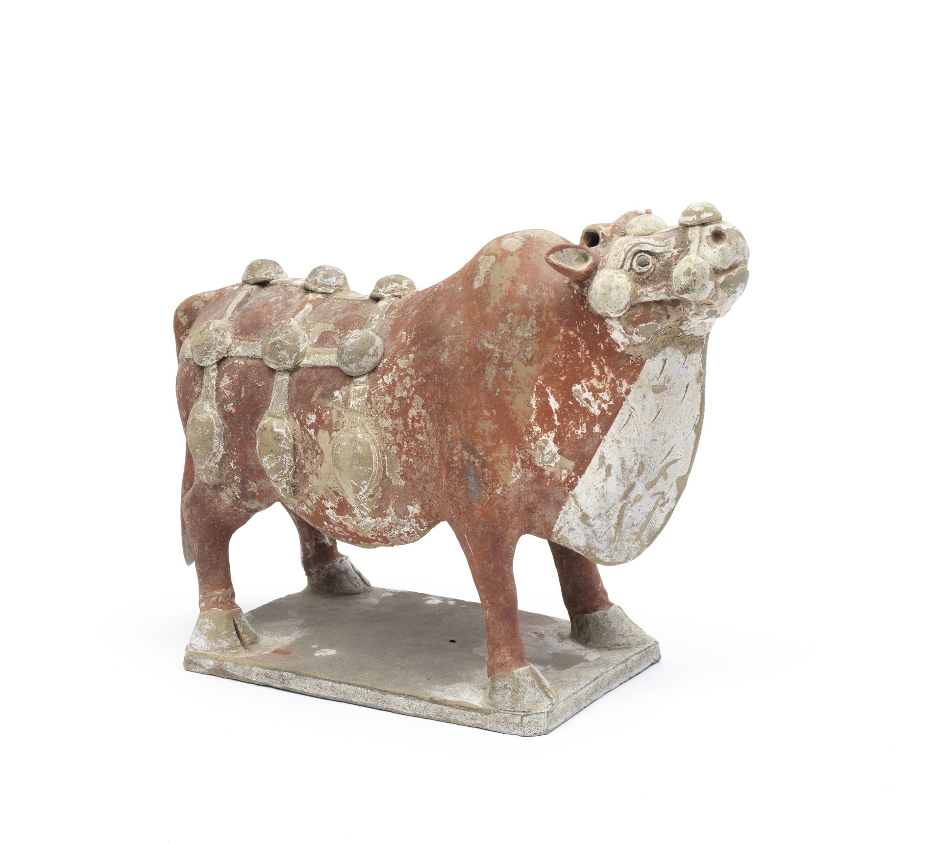 A PAINTED POTTERY MODEL OF AN OX Tang Dynasty