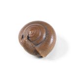 A wood netsuke of a snail By Tadayuki, Nagoya, Edo period (1615-1868), early 19th century