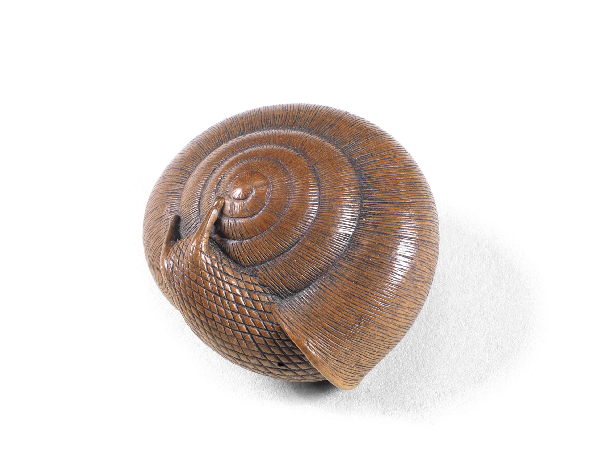 A wood netsuke of a snail By Tadayuki, Nagoya, Edo period (1615-1868), early 19th century