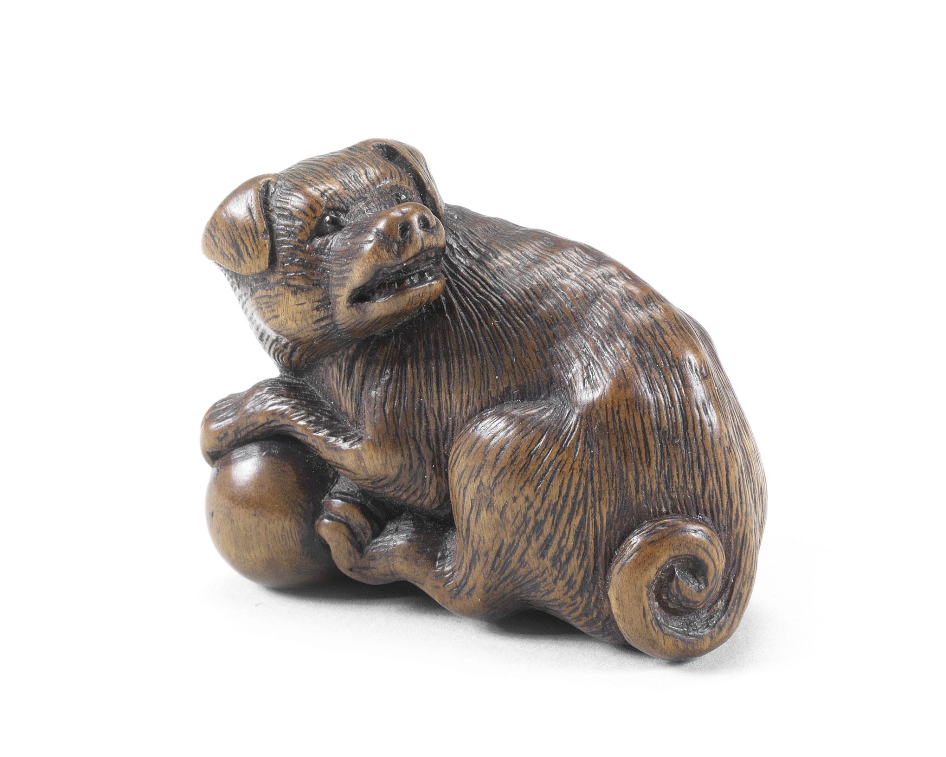 A netsuke of a dog with a ball By Tametaka, Nagoya, Edo period (1615-1868), circa 1820